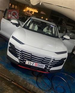 جیتۆر داشينگ